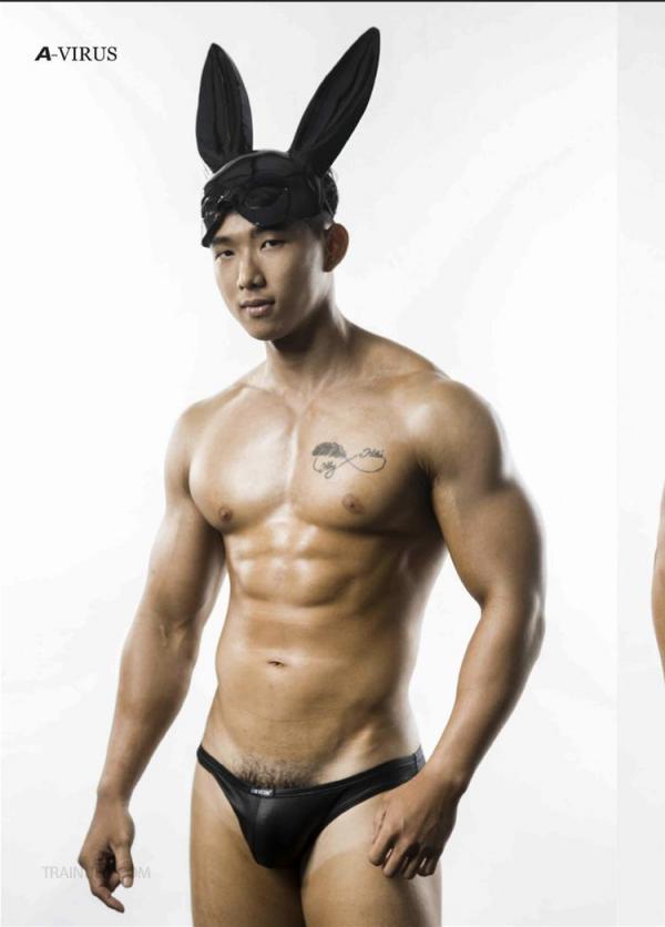 A-VIRUS-vol.04--ebook--video